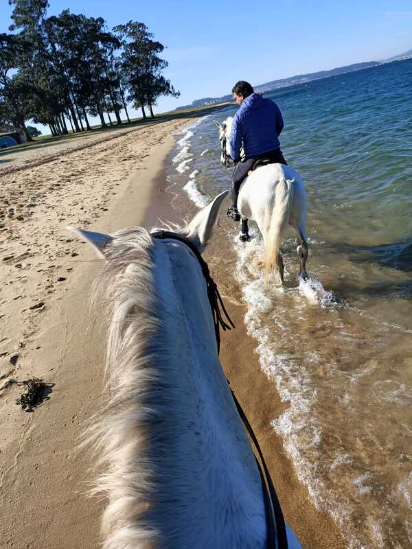 Ruta a caballo Playa del Terrón