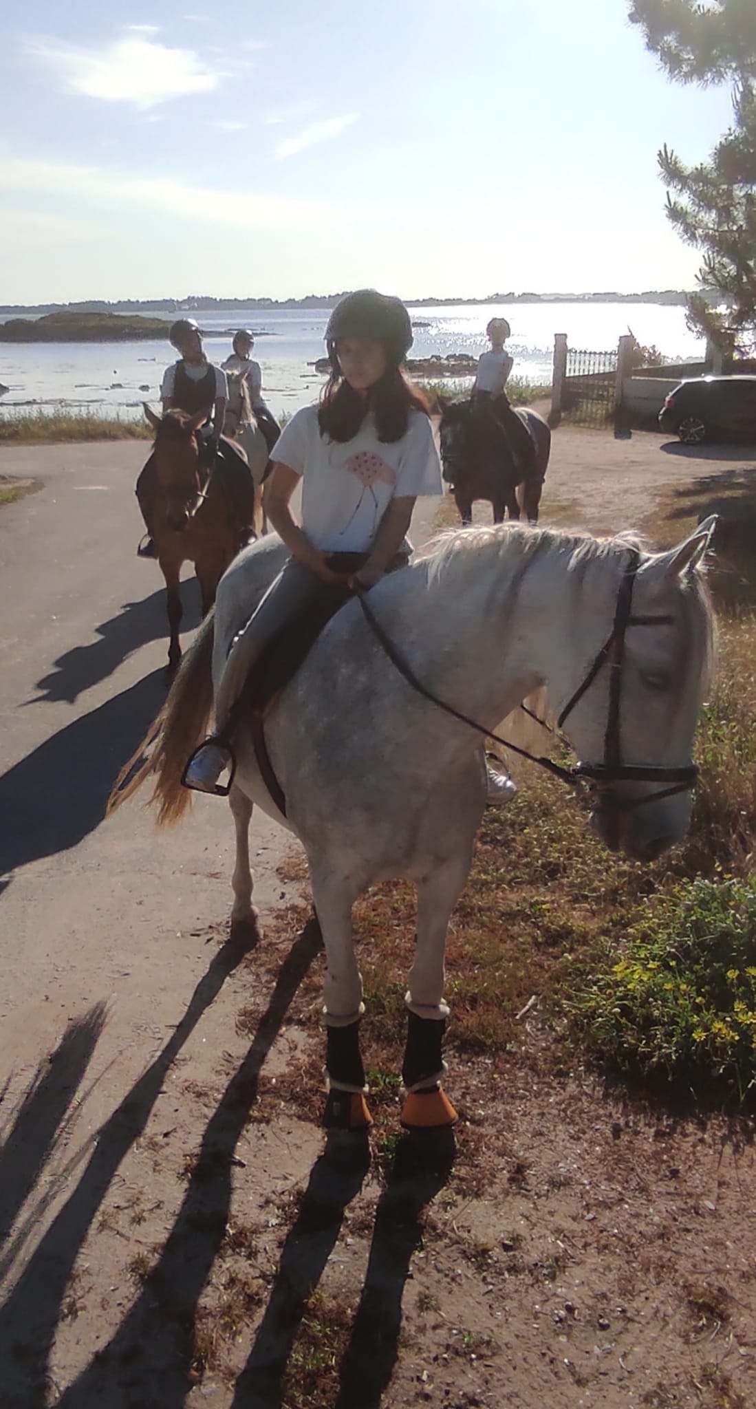 Ruta a caballo por la playa
